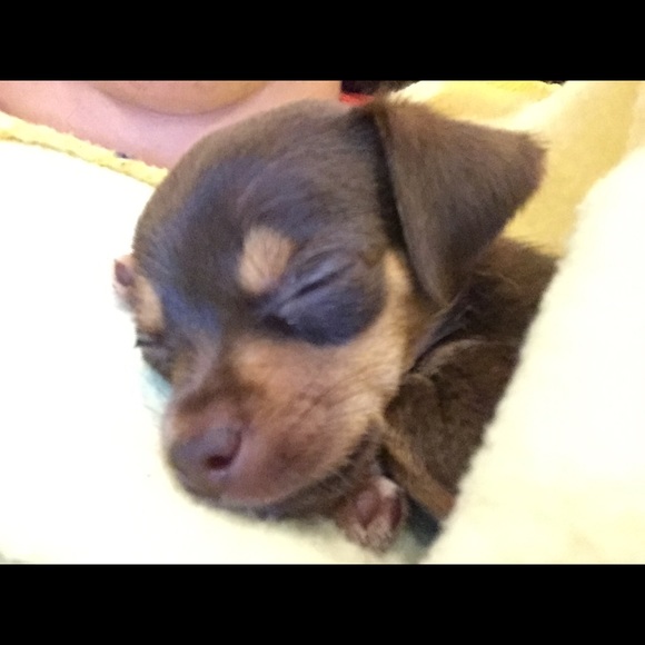 Meet your Posher, Danielle - Picture 12 of 16